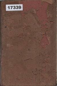 Image of Wat Brengt de Dag van Morgen?; Apa yang Dibawa Hari Esok?